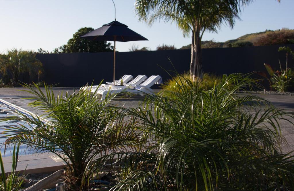 Motel Oasis Gisborne Ngoại thất bức ảnh